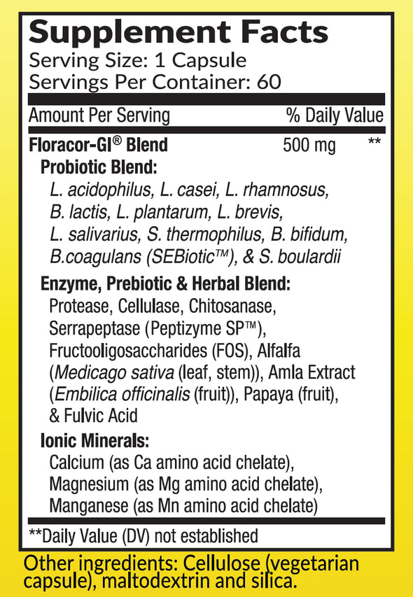 Extra Strength GutGenius Probiotic & Enzyme Complex